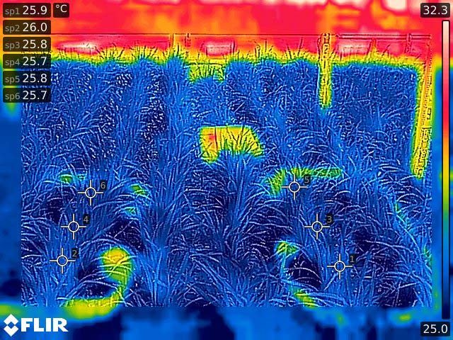 L’agricoltura giapponese si avvantaggia della termografia FLIR