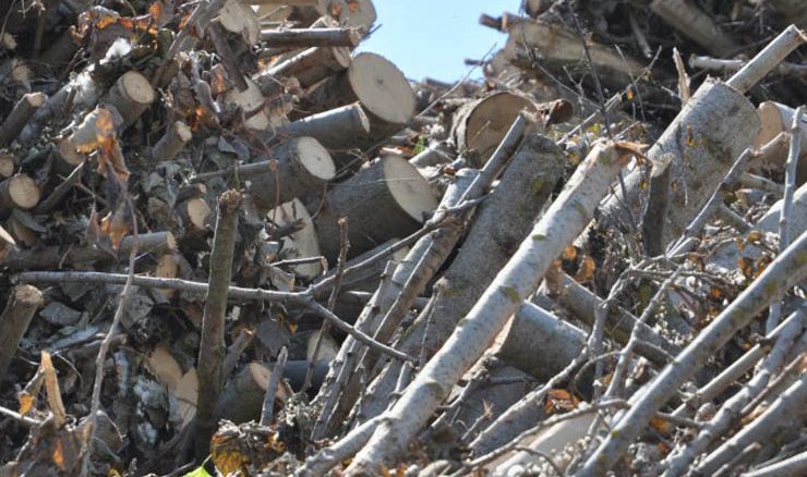 Il Comitato Energia da Biomasse Solide diventa Associazione