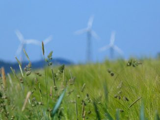 Enel avvia l’impianto eolico Damascena, in Brasile