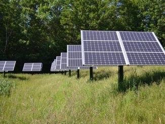 Osservatorio Rinnovabili, lo sviluppo delle green energy