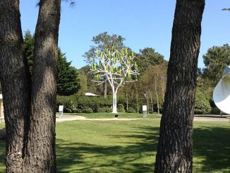 New Wind Arbre a Vent, il generatore eolico che copia la natura