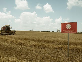 Birra Peroni e HORTA, l’agricoltura si fa sostenibile