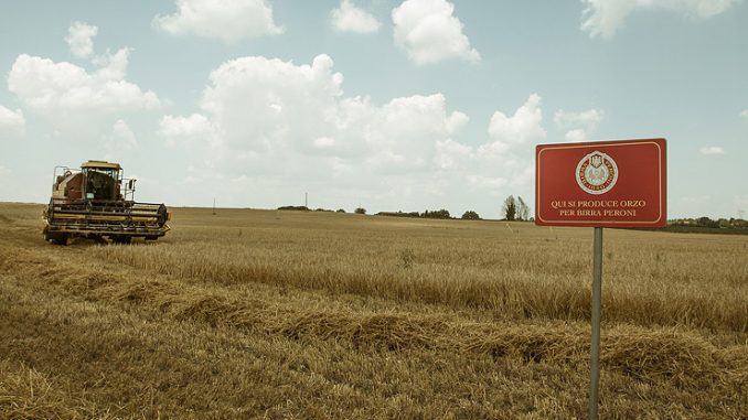 Birra Peroni e HORTA, l’agricoltura si fa sostenibile