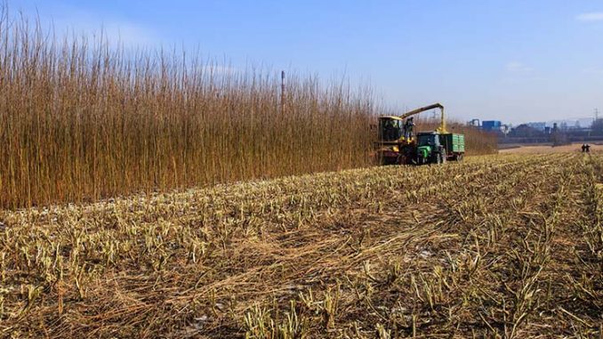 Fakro, produzione di finestre sostenibile ed efficiente