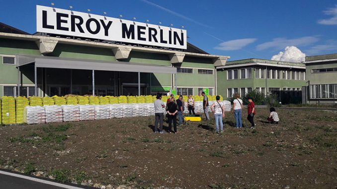 Leroy Merlin svela il progetto “Orto Fai da Noi”