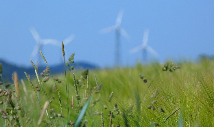 energia eolico