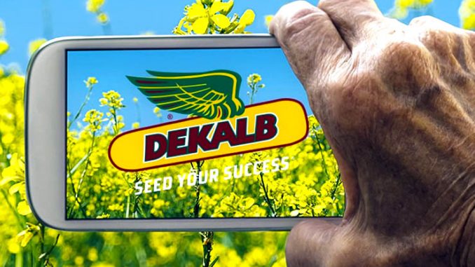 Agricoltura Dekalb Smart, digitalizzazione e sostenibilità