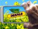 Agricoltura Dekalb Smart, digitalizzazione e sostenibilità