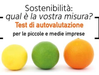 Test sostenibilità PMI