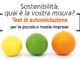 Test sostenibilità PMI