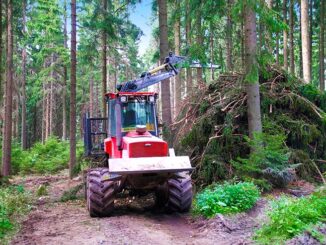 Preservare le foreste, EBS e l’impegno contro il bostrico