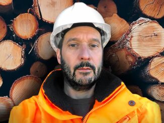 Biomasse e beni forestali, intervista a Mauro Bez di SICET