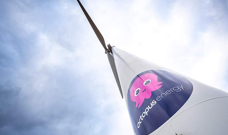 Octopus Energy bollette