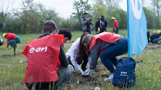 Boschi