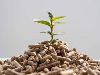 Biomassa strategica per la filiera legno-energia in Italia Biomassa